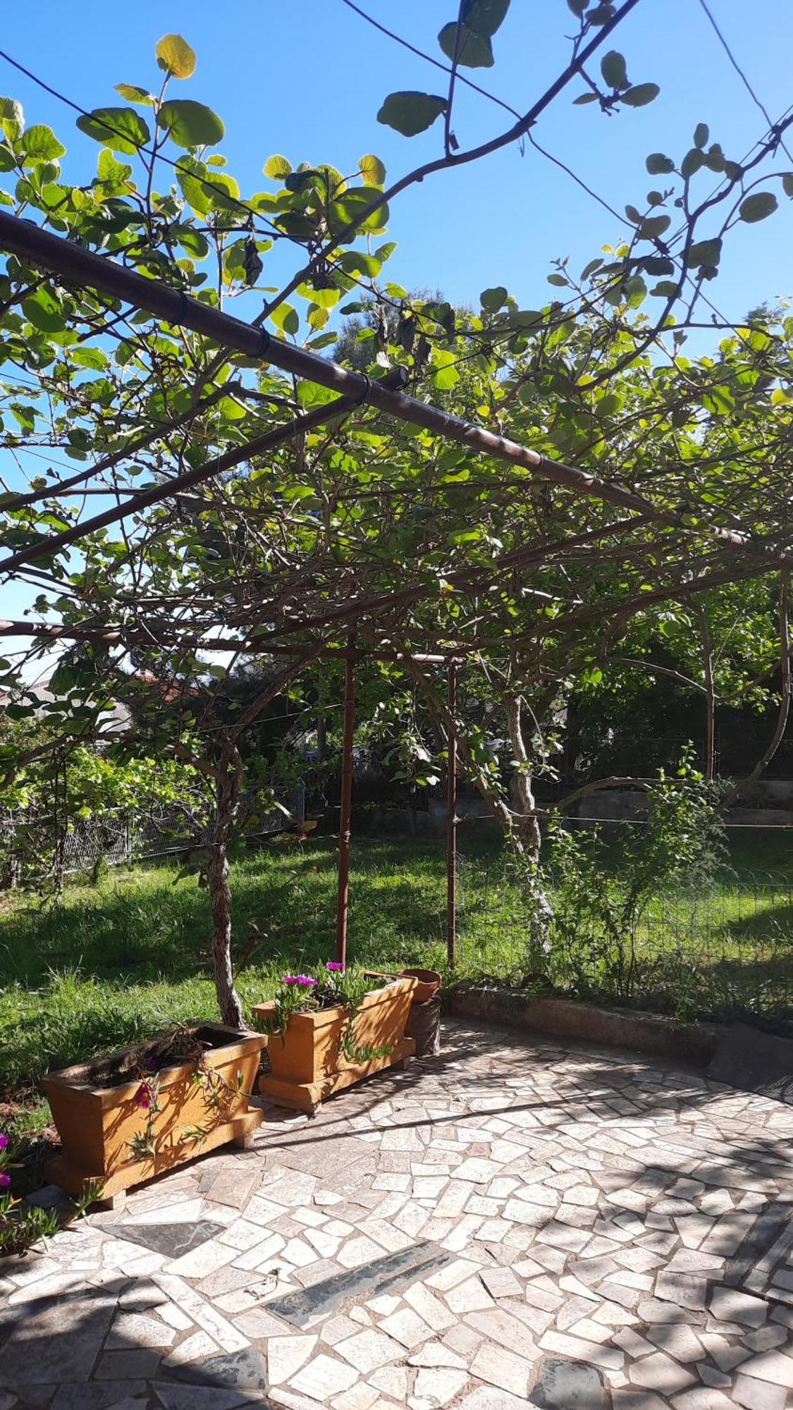 Appartements Lena. Premantura Zewnętrze zdjęcie